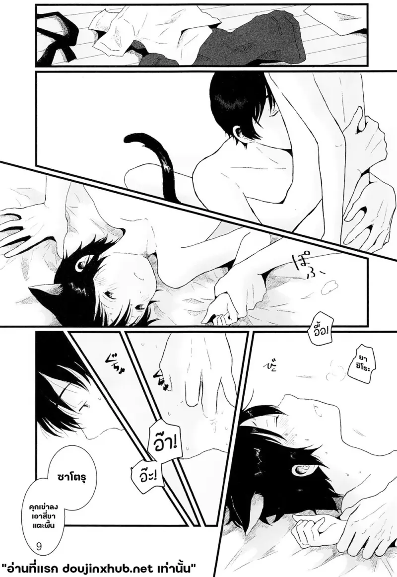 โดจิน ขนแมวกลิ่นควัน
